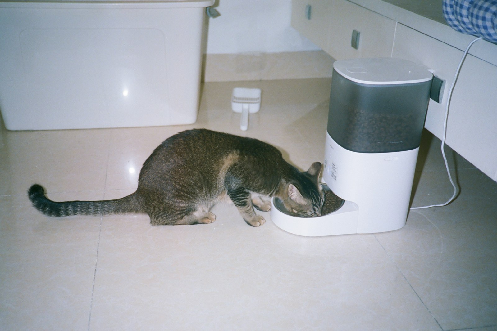 Automatic pet feeder